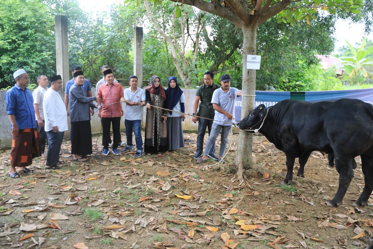 985 Sapi Qurban dari Presiden Prabowo untuk Seluruh Provinsi di RI, Lhokseumawe Disalurkan Wali Kota Sayuti ke Masjid Syura Meunasah Mee