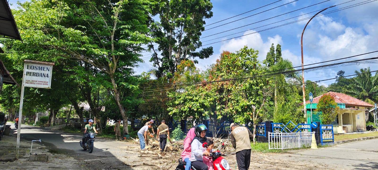DLHK Tanggap Cepat Atasi Pohon Lapuk di Pinggir Jalan Kota Sinabang