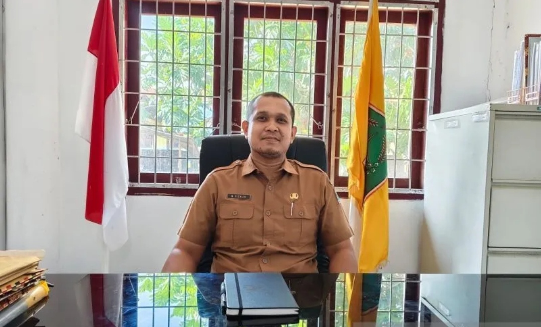 Sembilan perusahaan mulai eksplorasi emas dan batu bara di Aceh Jaya