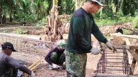 Mudahkan Akses Pengangkutan Hasil Pertanian Warga Desa di Aceh Singkil, Tentara Bangun Jembatan