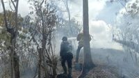 Sekitar 2 Hektare Lahan di Lembah Seulawah Aceh Besar Terbakar