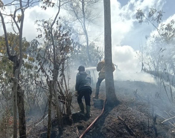 Sekitar 2 Hektare Lahan di Lembah Seulawah Aceh Besar Terbakar