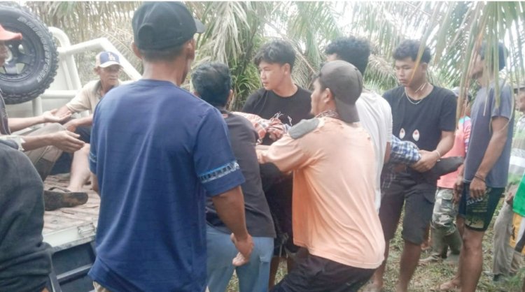 Dua Warga Aceh Tamiang Ditemukan Tewas di Kebun Sawit, Diduga Tersambar Petir
