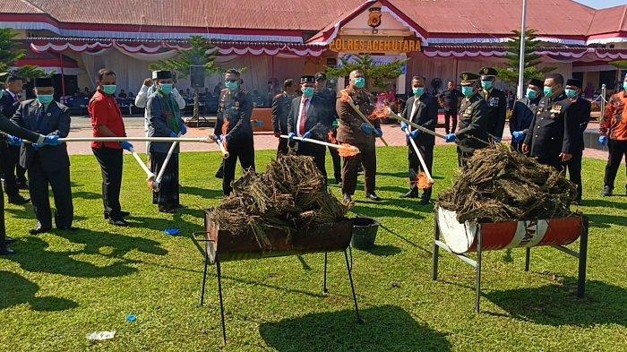 Polres Aceh Utara Musnahkan 73 Kg Ganja dan 238 Gram Sabu Saat Peringatan Hari Bhayangkara Ke-79