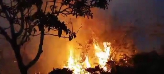 Kebun Kopi di Despot Linge Aceh Tengah Terbakar, Hingga Malam Api Belum Padam