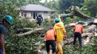 Cuaca Ekstrem Masih Berlanjut, Warga Diminta Tetap Waspada