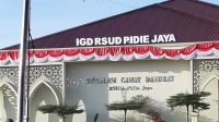 BPK Bongkar Kebocoran Pendapatan RSUD Pidie Jaya, Rp2,65 Miliar Raib di Klaim JKN