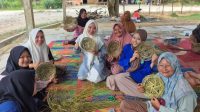 Universitas Samudera Langsa Aceh, Hadir Memperbaiki Ekonomi dan Lingkungan Kampus