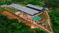 Distanbun Minta Karet Mentah tak Lagi Dijual ke Luar Aceh: Kita Ada Pabrik