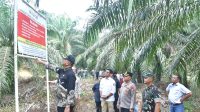Bupati Armia: Tidak Ada Toleransi Terhadap Perambah Hutan TNGL