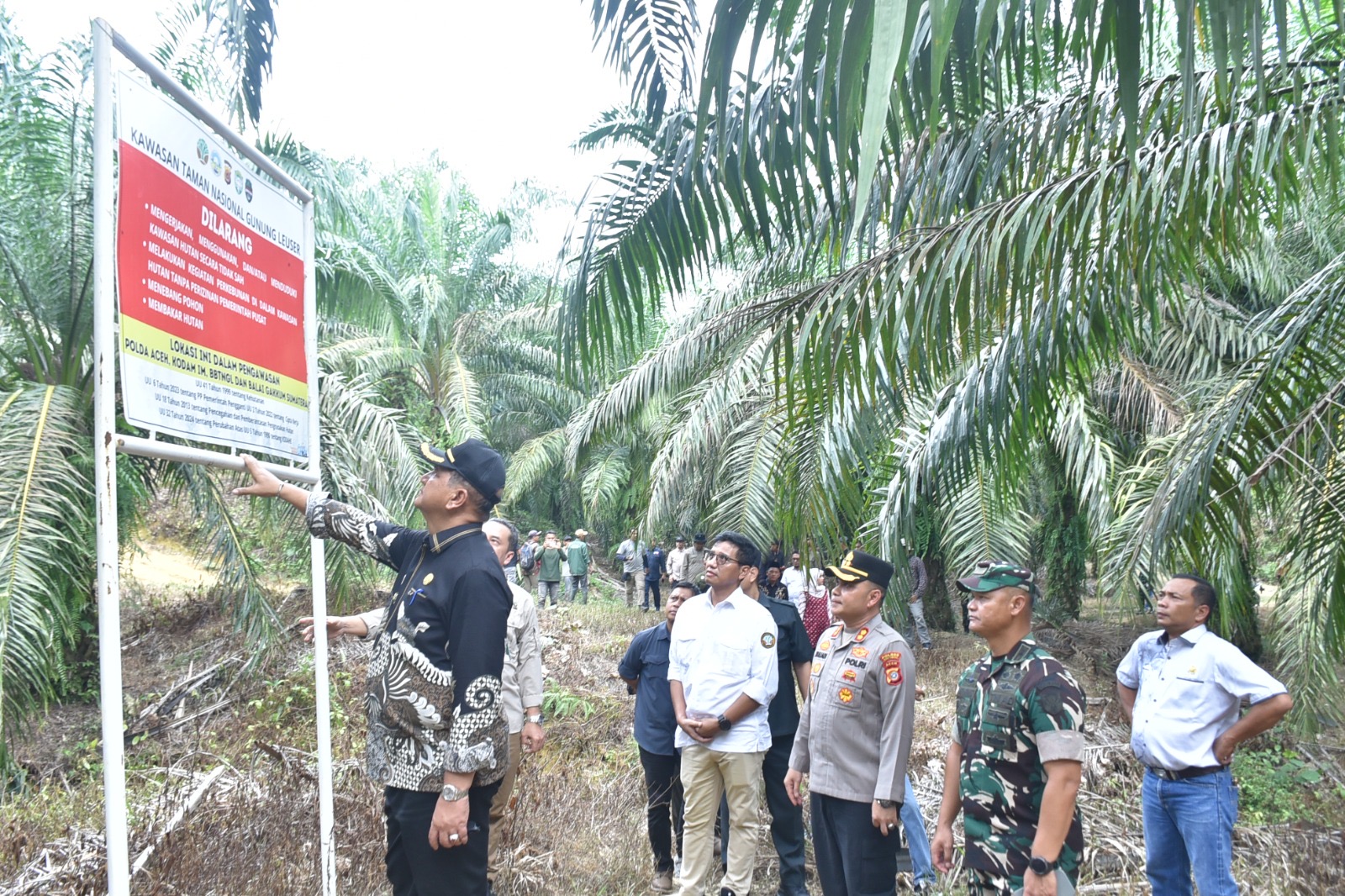 Bupati Armia: Tidak Ada Toleransi Terhadap Perambah Hutan TNGL