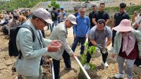 Walikota Ingin Sabang Jadi Kota Hijau