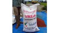 Petani di Aceh Tengah Keluhkan Tingginya Harga Pupuk Bersubsidi