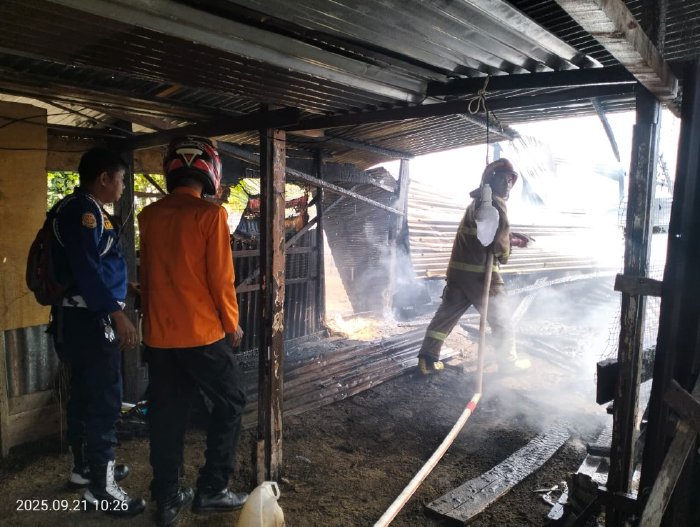 Rumah dan Usaha Ternak Terbakar Di Aceh Barat