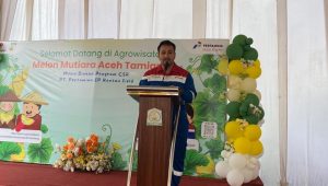 Pertamina Rantau Field Gelar Panen Raya Melon Program CSR