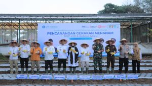 Banda Aceh Kendalikan Inflasi Lewat Penanaman Bibit Bawang