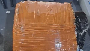 Polisi selidiki pemilik 2 Kg ganja di Bandara SIM Aceh