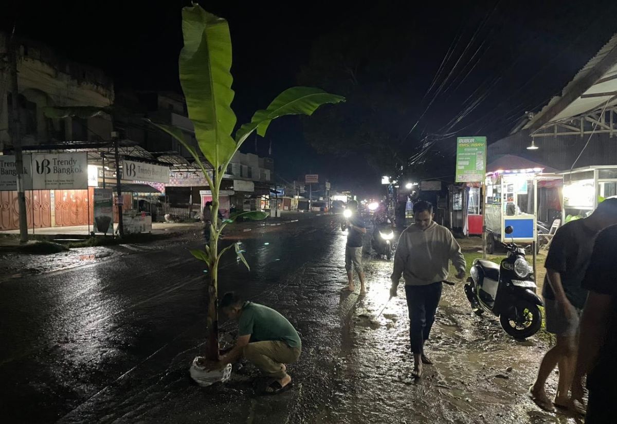 Warga Aceh Utara Tanam Pohon Pisang di Jalan Nasional Usai Telan Korban