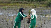 Pelajar di Aceh tanam 1.000 mangrove tangani dampak iklim dan lahirkan generasi hijau Pelajar di Aceh tanam 1.000 mangrove tangani dampak iklim dan lahirkan generasi hijau