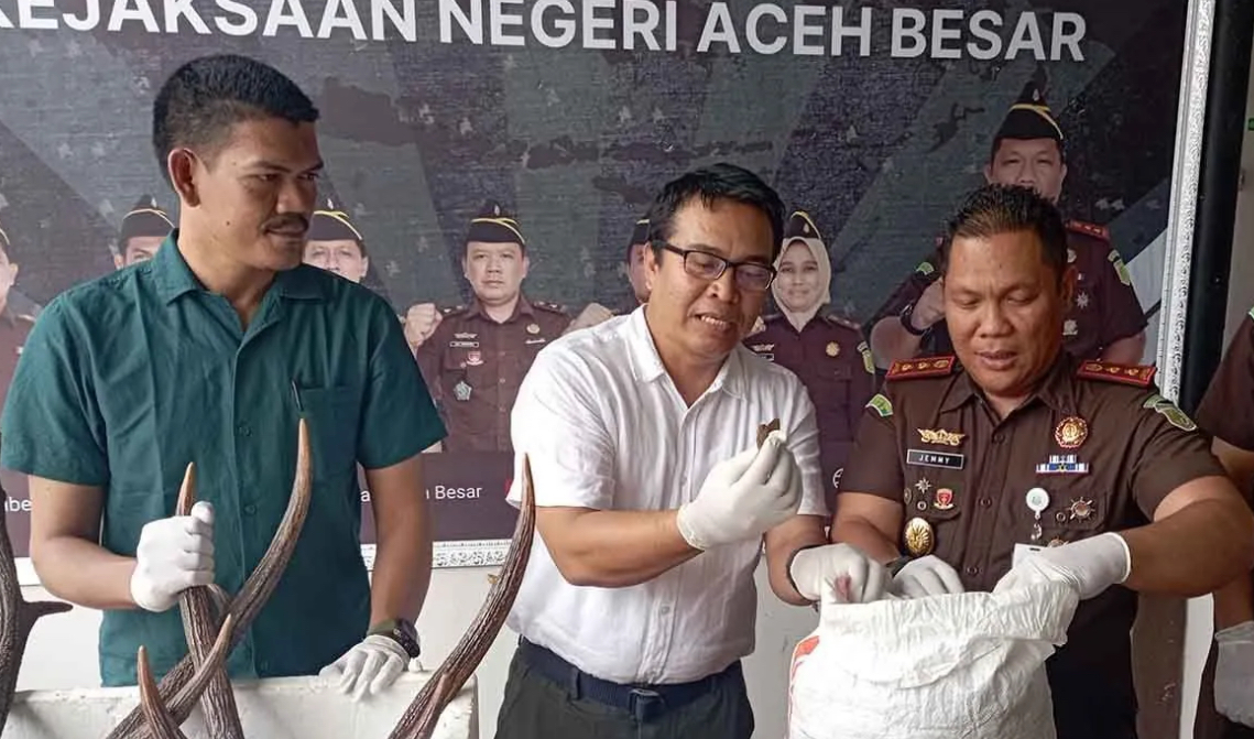 Aceh terapkan UU terbaru pada tindak pidana konservasi Aceh terapkan UU terbaru pada tindak pidana konservasi