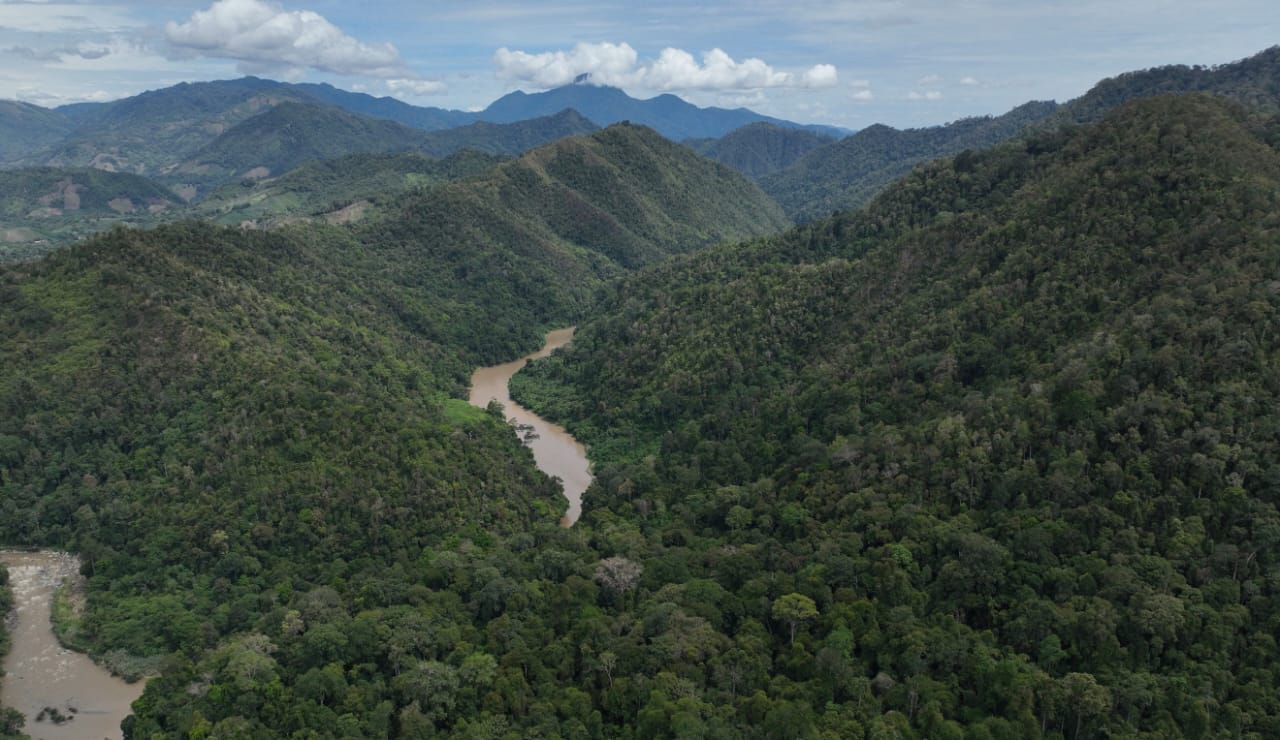 Pembangunan Jalan Muara Situlen–Gelombang Disorot, Dinilai Ancam Kawasan TNGL