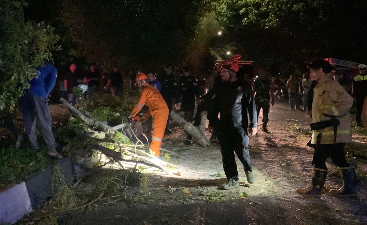 Pohon Tumbang Timpa Warga di Ingin Jaya, Satu Orang Luka-luka