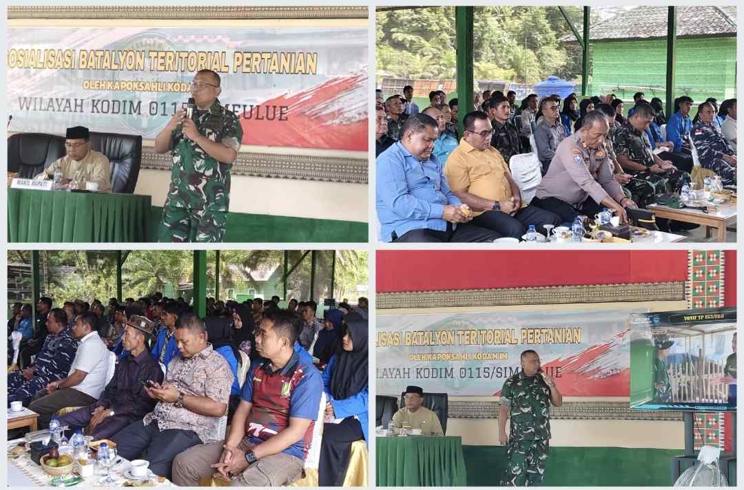 Sosialisasi Yon TP di Simeulue, Ini Harapan Kapok Sahli Pangdam IM