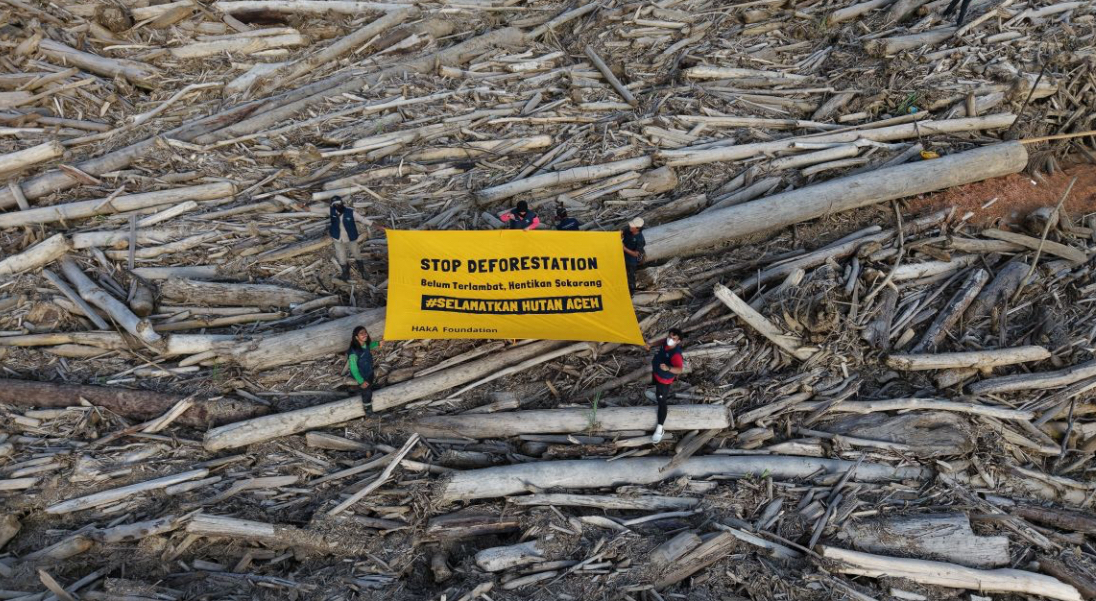 Akhiri Banjir Berulang di Aceh, Deforestasi Wajib Berhenti
