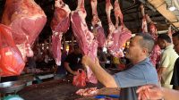 Dampak Banjir Besar, Pemerintah Terus Upayakan Pemenuhan Kebutuhan Daging Meugang di Aceh
