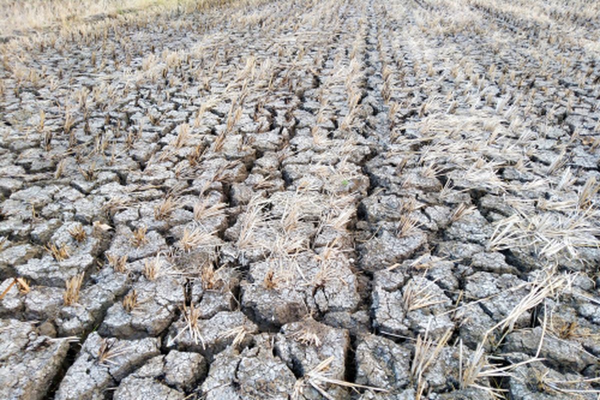 Sebagian Wilayah Aceh Bakal Memasuki Musim Kemarau, BMKG Imbau Warga Hemat Air
