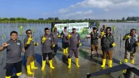 Hijaukan Lingkungan, BBPOM Tanam Ribuan Manggrove di Baitussalam Aceh Besar
