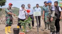 Upaya Pemulihan Pascabencana, Bupati Pijay Tanam Ratusan Pohon