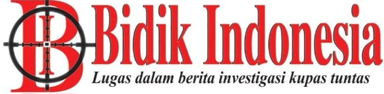 Bidik Indonesia